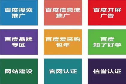 竞价广告在XX行业的成功应用案例